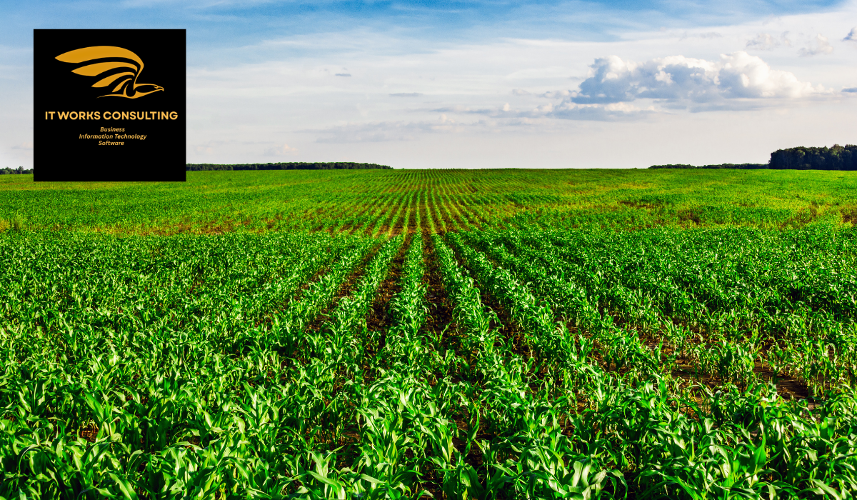 High-Profit Crops & Farming Opportunities