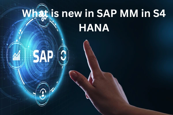 What is new in SAP MM in S4 HANA